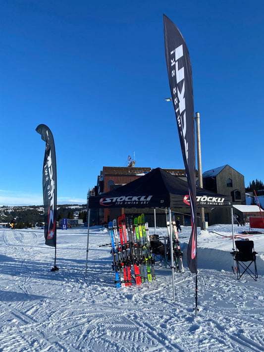 Vassfjellet